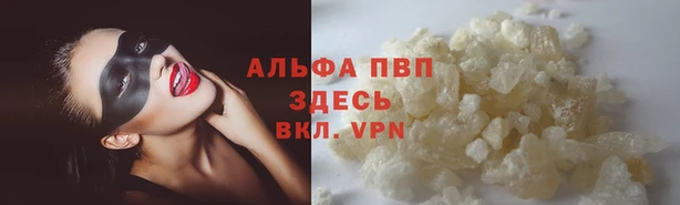 PSILOCYBIN Армянск