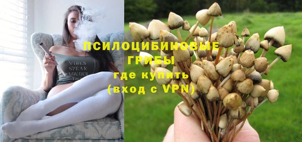 PSILOCYBIN Армянск